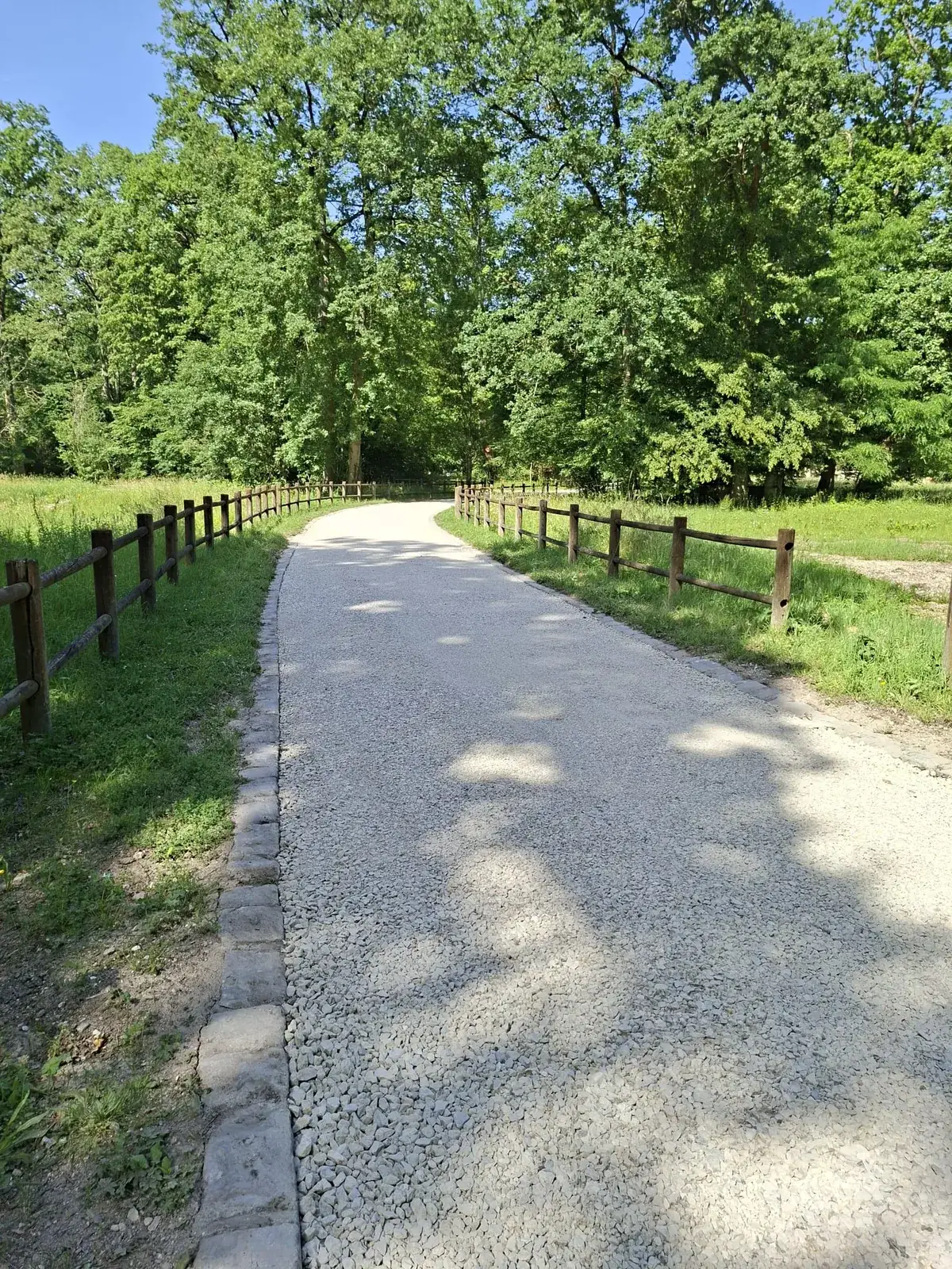 Allée en gravier terminée dans un domaine boisé